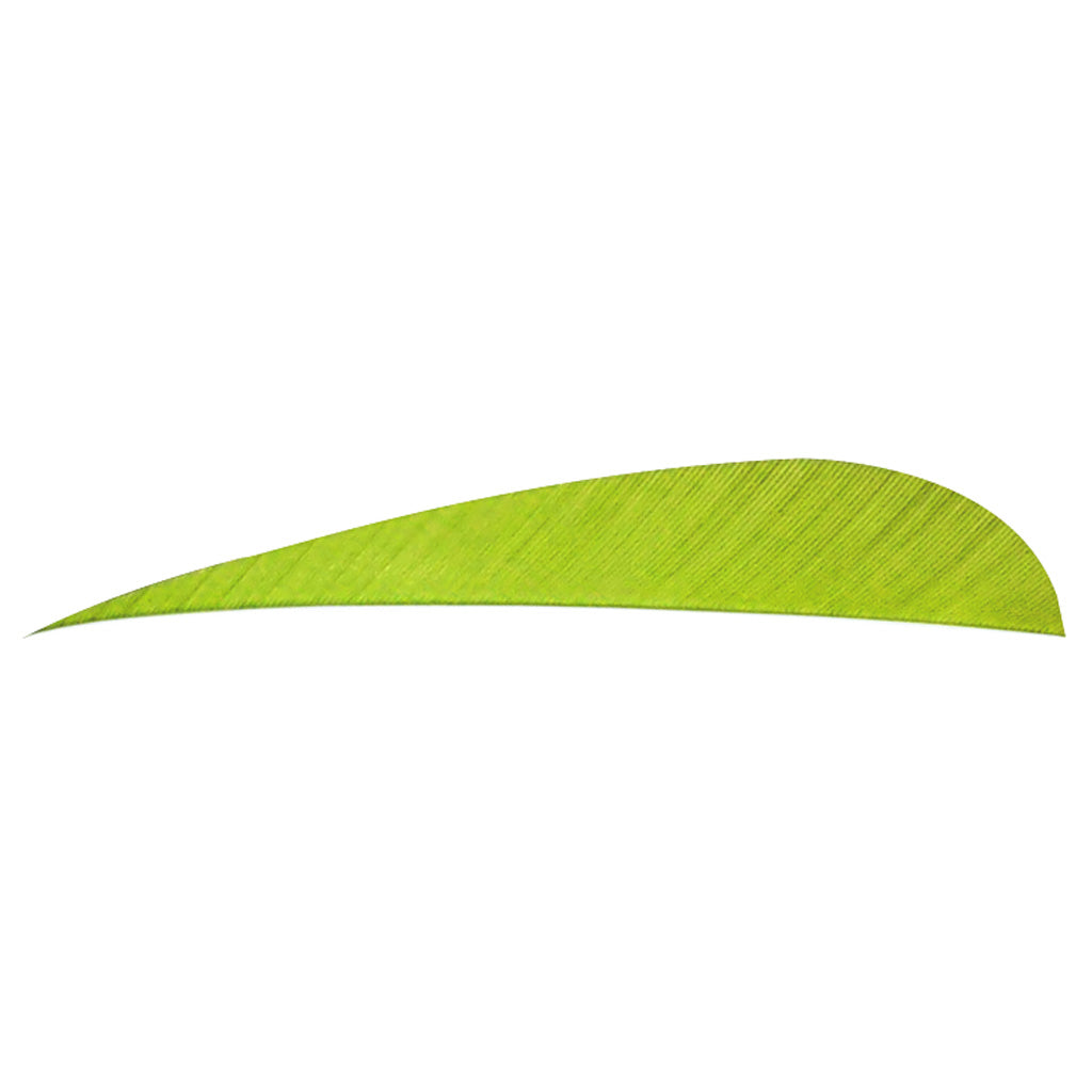 Trueflight 4 in. Parabolic Arrow Feathers Chartreuse RW 100-Pack