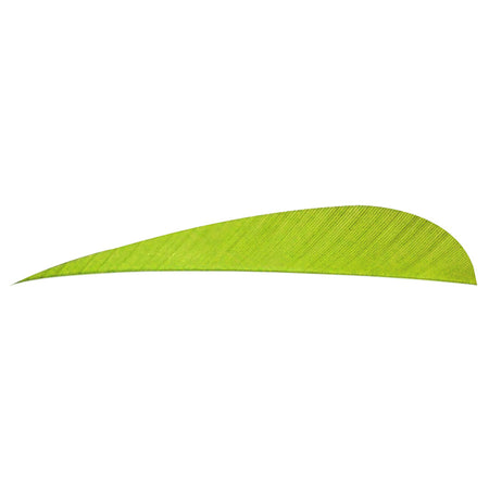 Trueflight 4 in. Parabolic Arrow Feathers Chartreuse RW 100-Pack