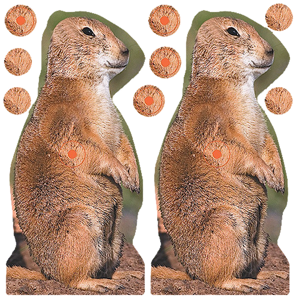 Birchwood Casey 34786 Shoot-N-C Reactive Prairie Chuck Self-Adhesive Paper Target 8" Brown 12 Pack