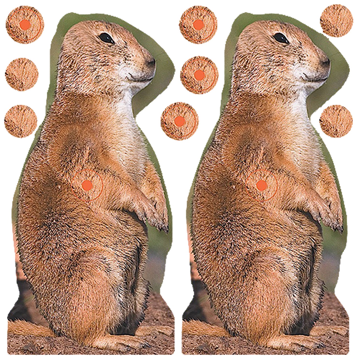 Birchwood Casey 34786 Shoot-N-C Reactive Prairie Chuck Self-Adhesive Paper Target 8" Brown 12 Pack
