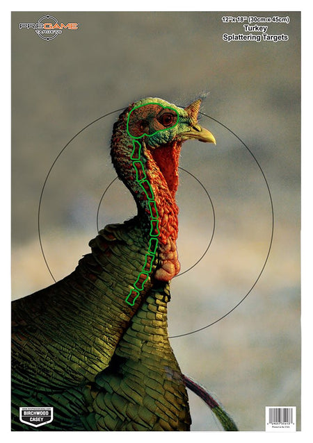 Birchwood Casey 35403 Pregame Turkey Paper Hanging Target 12" x 18" Multi-Color 8 Per Package