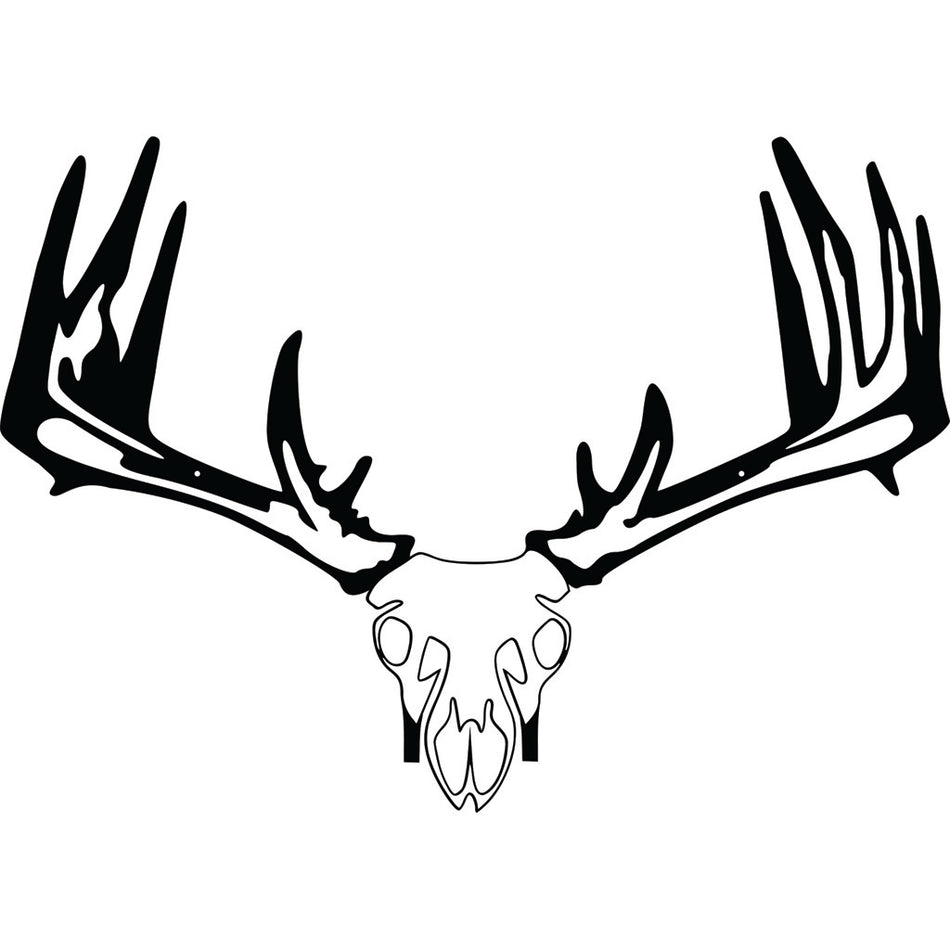 Raxx Whitetail Skull Crossbow Wall Hanger