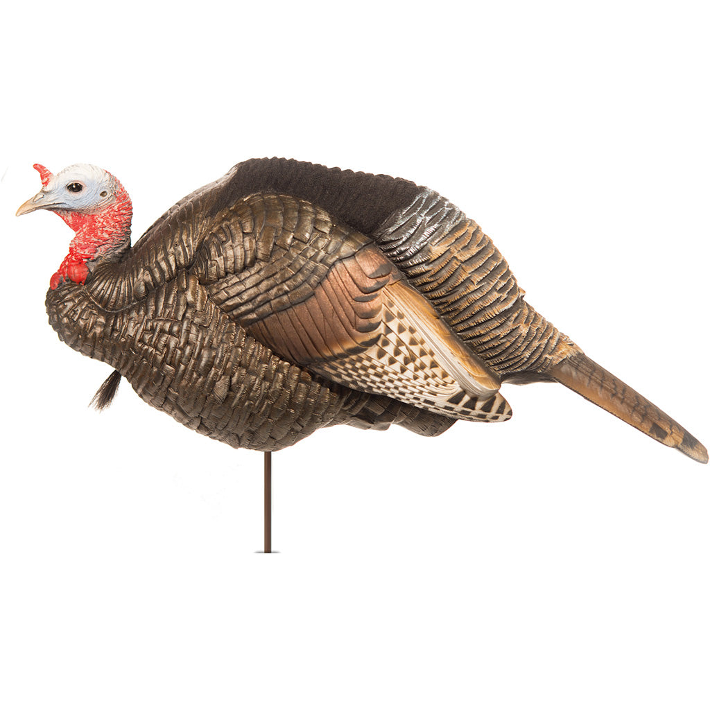 Dave Smith Decoys 3/4 Strut Jake Turkey Decoy with ACE Resin Body