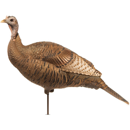 Dave Smith Decoys Upright Hen Turkey Decoy