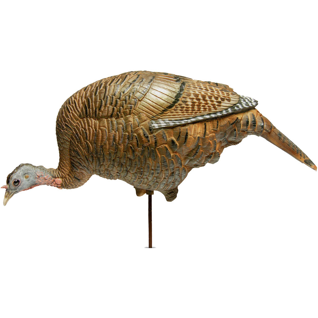 Dave Smith Decoys Feeding Hen Turkey Decoy