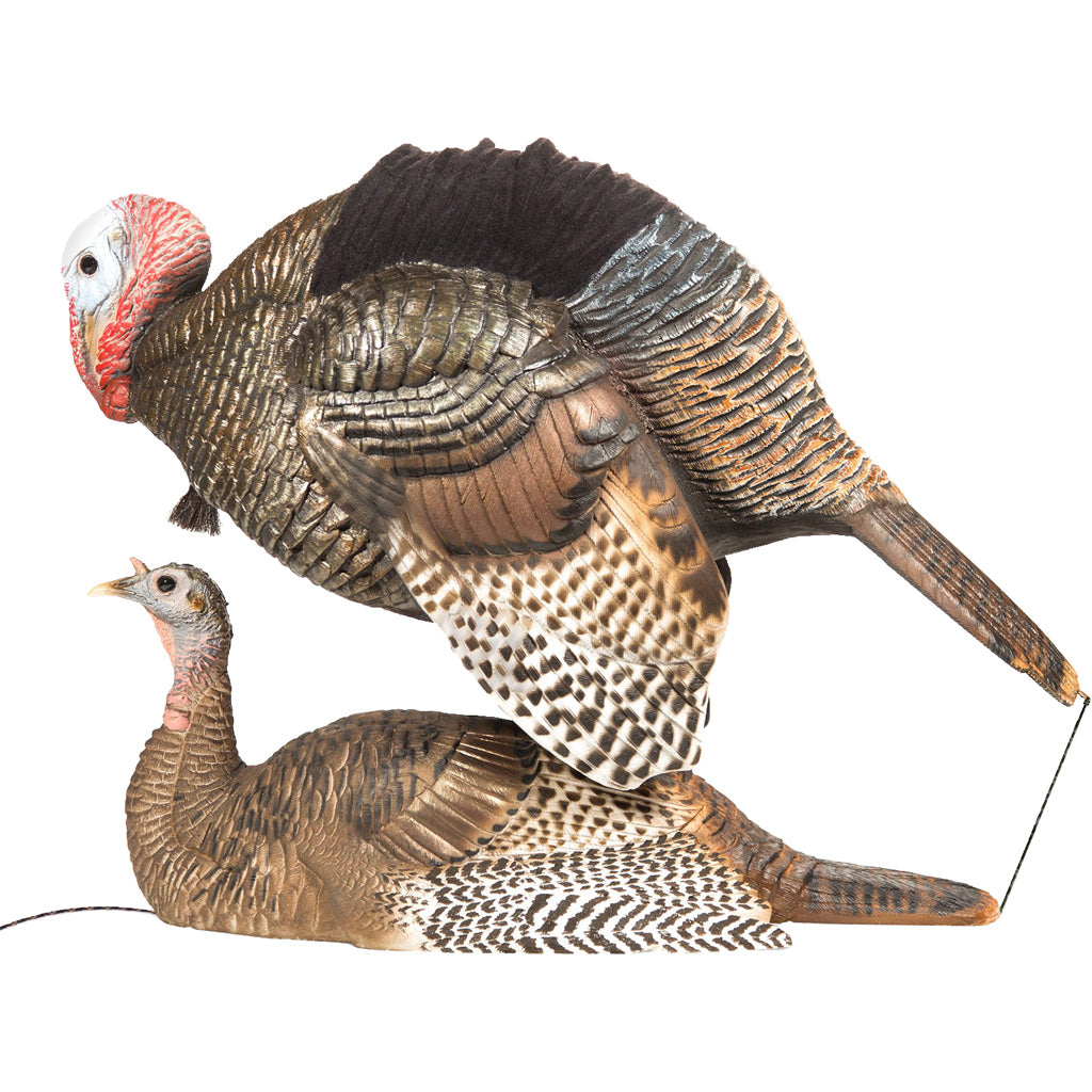 Dave Smith Decoys Mating Motion Pair Turkey Decoys