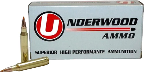 Underwood Ammo 465 Ballistic Tip Hunting Ballistic Tip Boat Tail  300 Grain .458 HAM'R