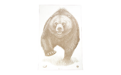 Action Target Alaska State Parks Bear Shooting Target, 23"x35", 100 Per Box ASP-BB-100