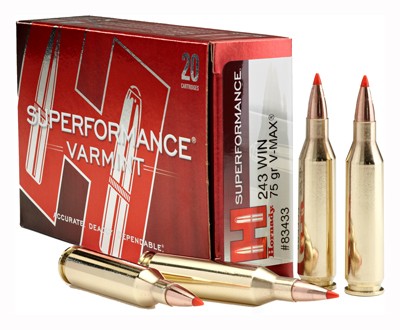 Hornady 83433 Superformance Varmint Hornady V-Max  75 Grain .243 Winchester