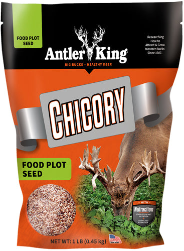 Antler King Chicory 1lb Perennial Food Plot Seed 1/4 Acre