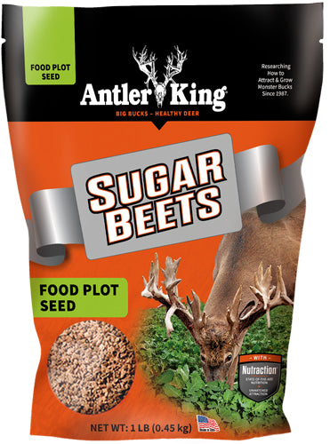 Antler King Sugar Beets 1lb Annual Food Plot Seed 1/8 Acre