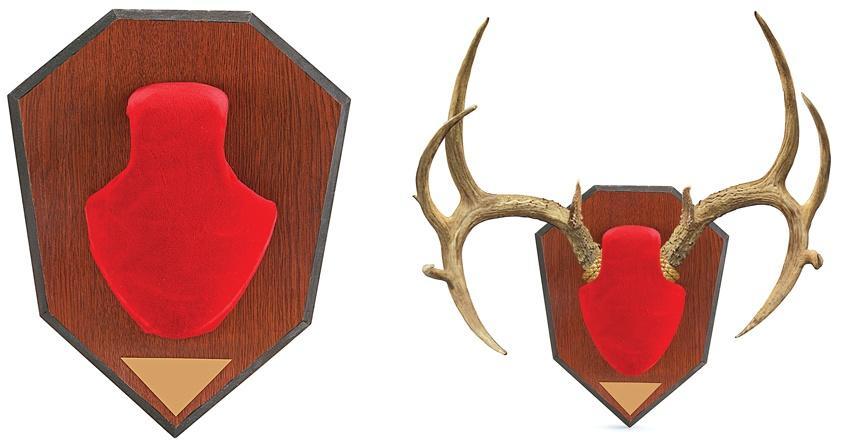 Allen Red Skull Antler Mounting Kit with Wood Grain Plaque