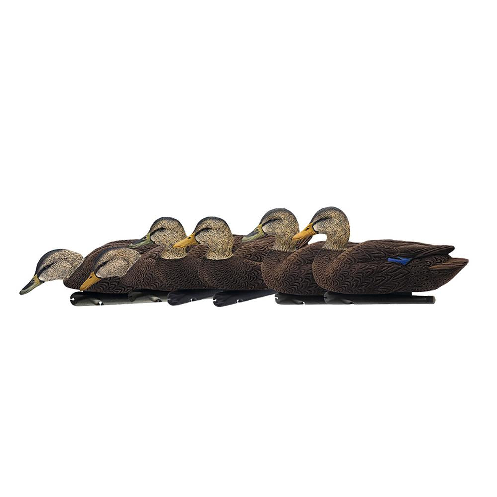 Avian-X Topflight Black Duck Floating Decoys 6-Pack
