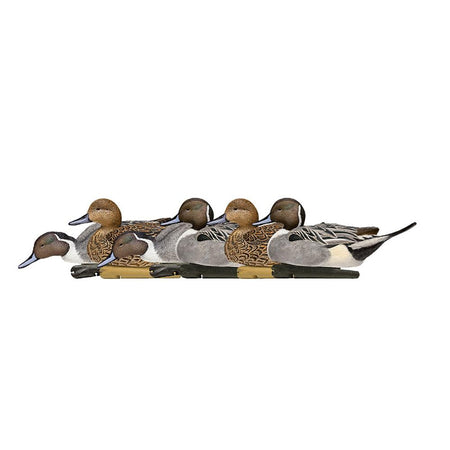 Avian-X Topflight Pintail Duck Decoys 6-Pack with Weight-Forward Swim Keel