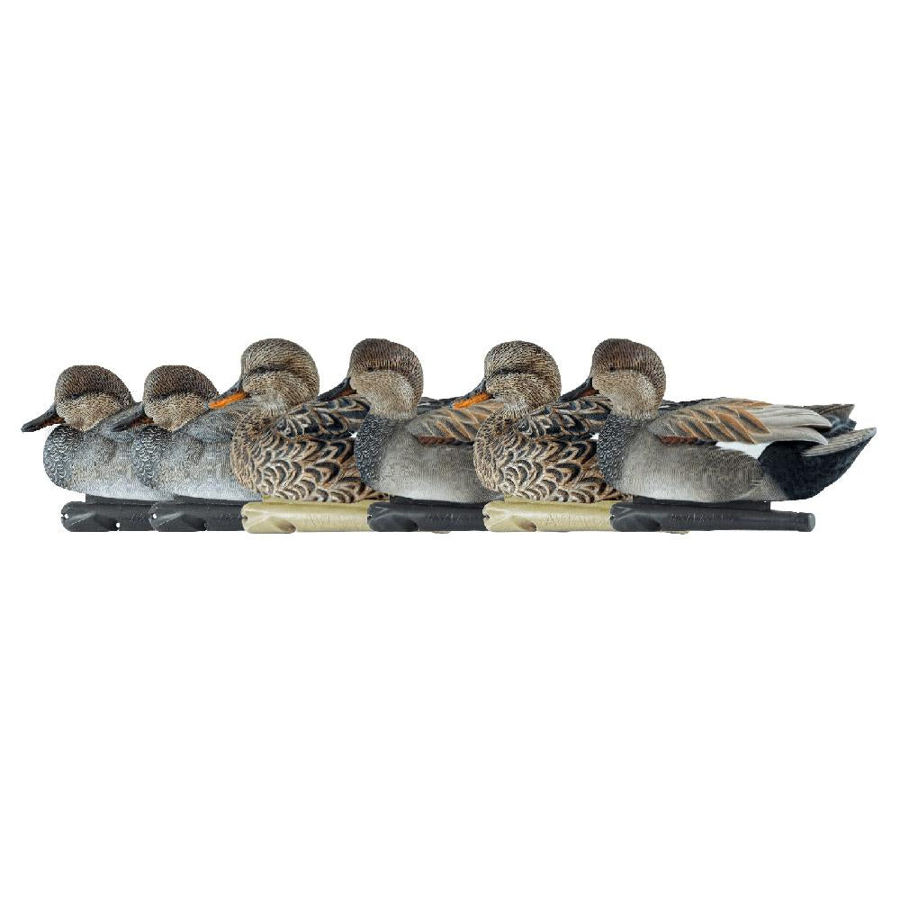 Avian-X Topflight Gadwall Duck Decoys 6-Pack