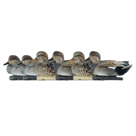 Avian-X Topflight Gadwall Duck Decoys 6-Pack