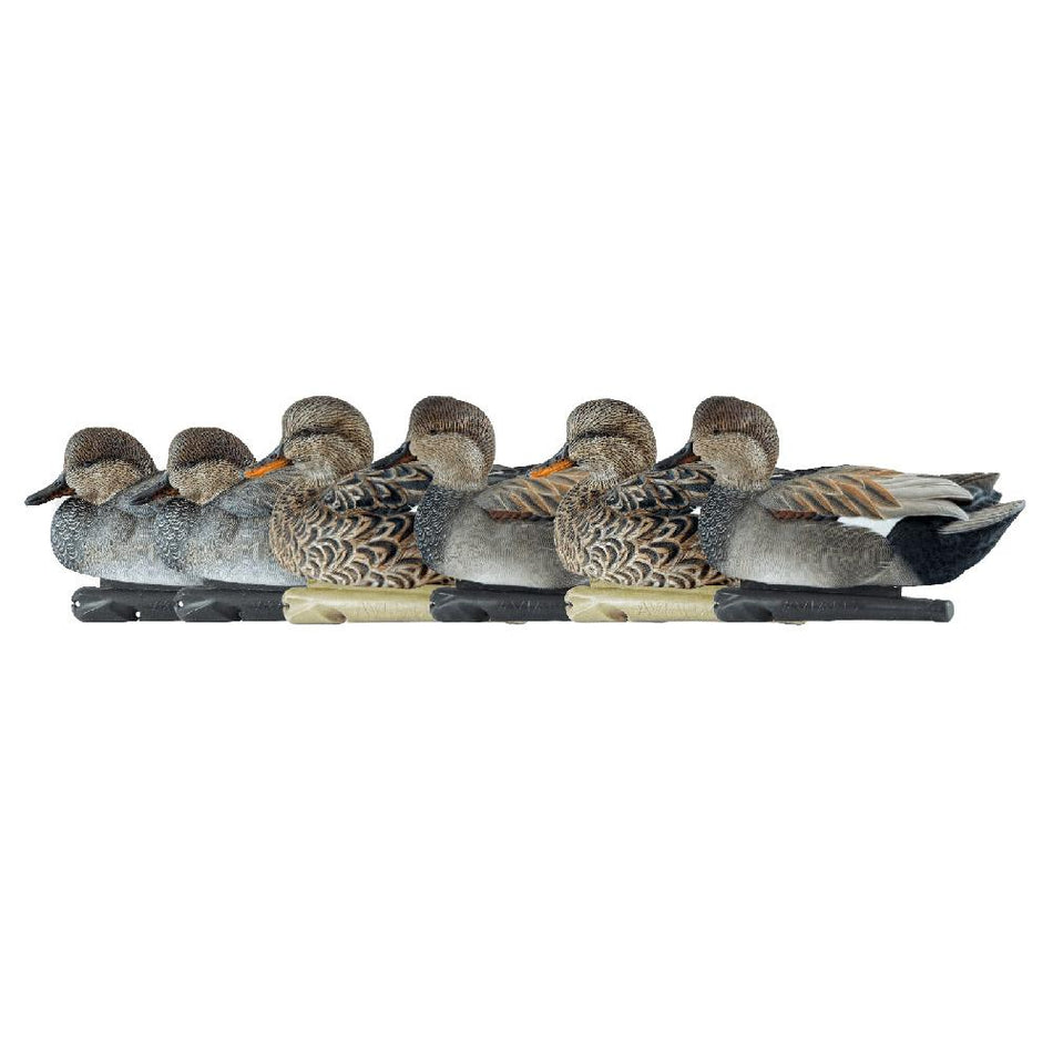 Avian-X Topflight Gadwall Duck Decoys 6-Pack