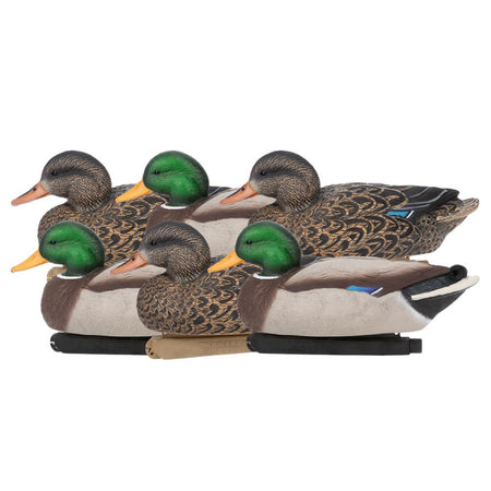Zink Mallard Floater Decoys 6-Pack Hand Painted