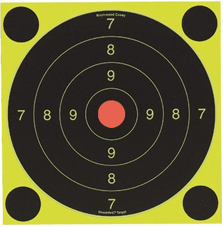 Birchwood Casey Shoot-N-C International Shooting Target