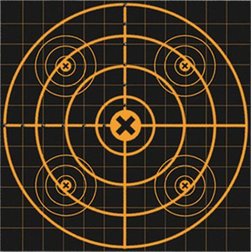 Birchwood Casey Big Burst Revealing Sight-In Targets 12" 3-Pack