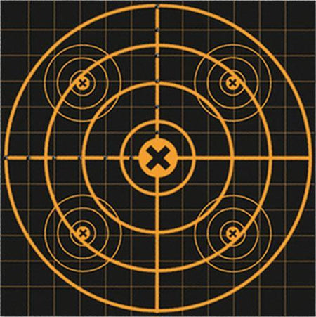 Birchwood Casey Big Burst Revealing Sight-In Targets 12" 3-Pack
