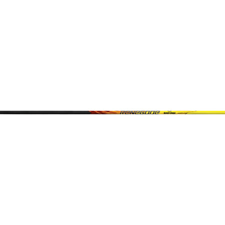 Black Eagle Renegade Arrow Shafts .005 250 Spine - 1 Dozen