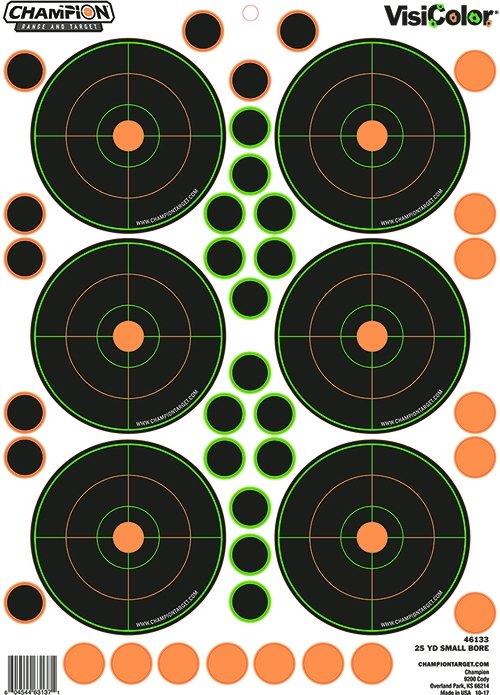 25 Yard Small Bore Target 5-Pack with 90 Pasters