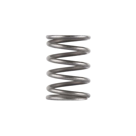 Dead Air Replacement Piston Spring for Ghost, Odessa and Mojave 9