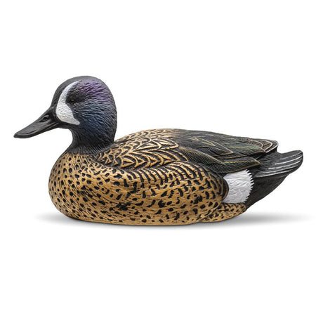 Rig'Em Right Mainline Series Blue-Winged Teal Duck Decoys 12-Pack