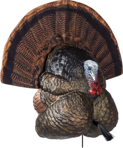 Flextone Thunder Creeper Strutter Turkey Decoy with Folding Fan