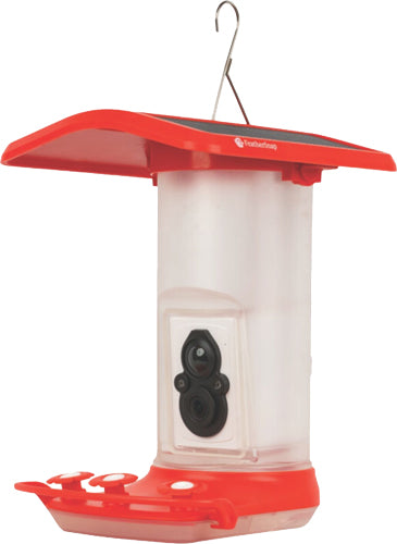 FeatherSnap Hummingbird Feeder Wi-Fi Solar Powered with Camera