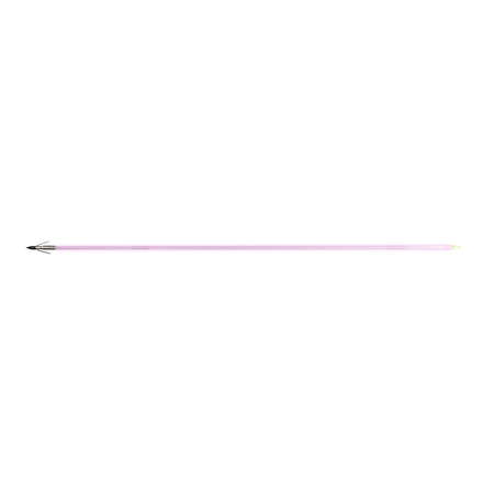 Muzzy Sabre Lighted Bowfishing Arrow with Carp Point