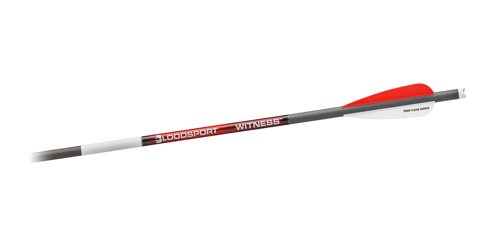 Bloodsport Witness Crossbow Bolts 22-Inch 300 Spine with Blood Ring 6-Pack