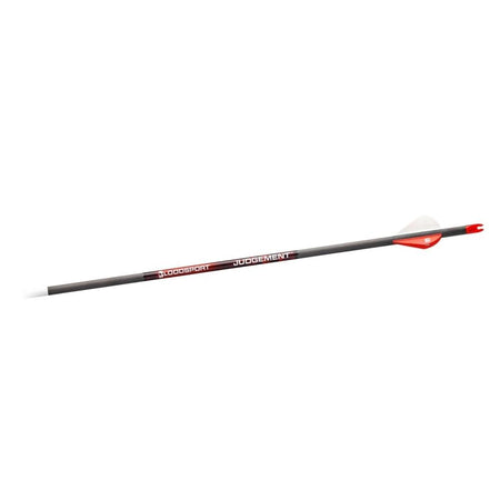 Bloodsport Judgement Carbon Arrow 400 Spine 6-Pack
