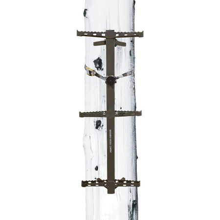 Hawk Ranger Traction Climbing Sticks - 3 Pack