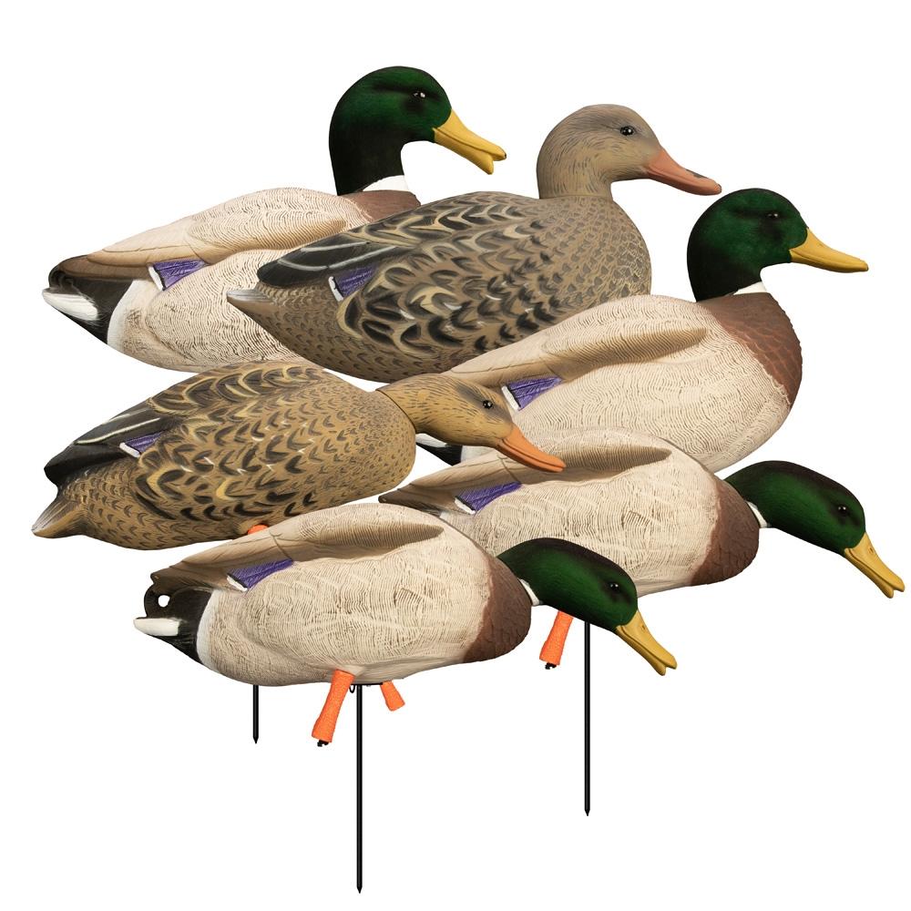Higdon Outdoors Magnum Full Body Mallard Variety Pack Flocked Heads 6-Pack Decoys