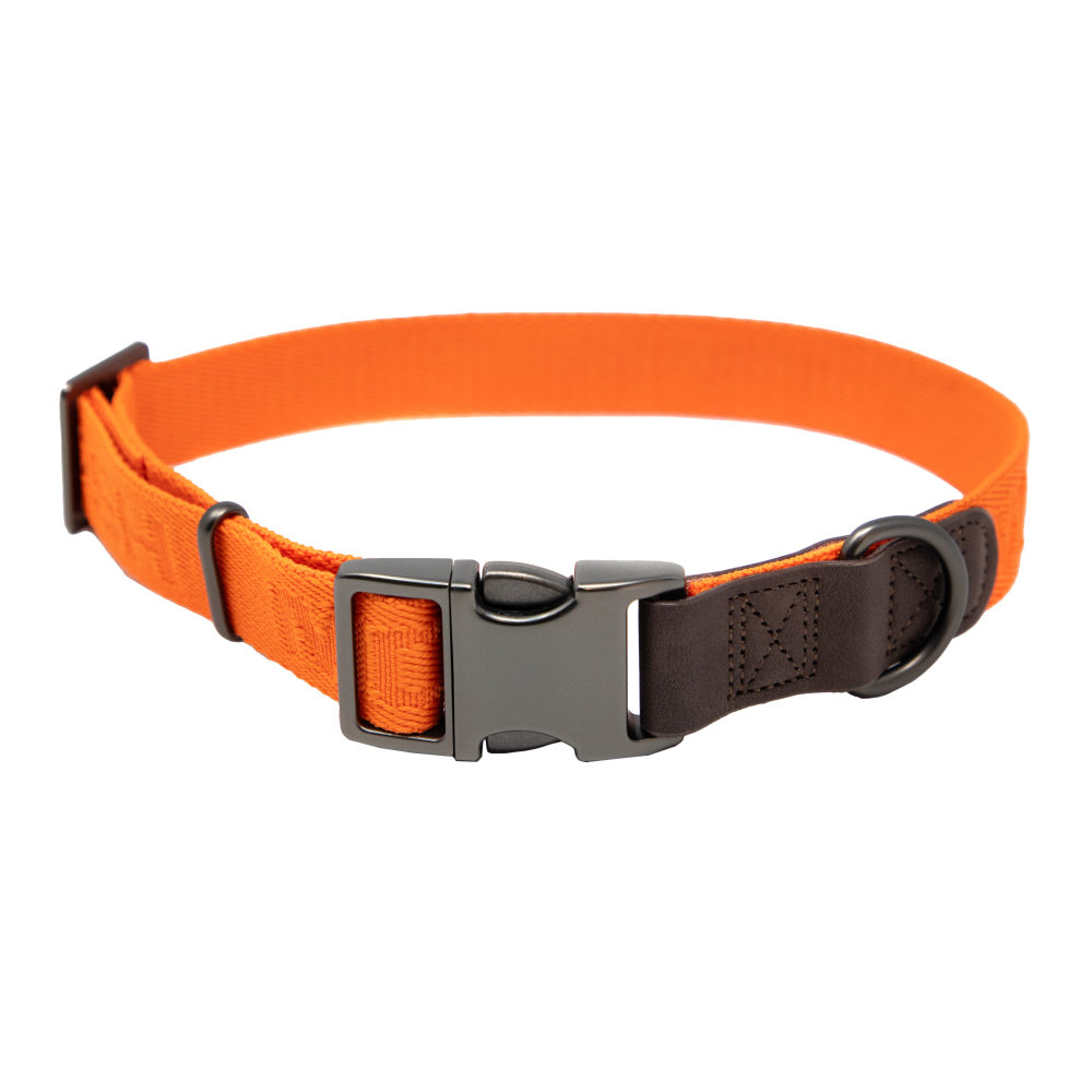 MoMarsh Adjustable Hunter Orange Dog Collar 15"-23" Nylon