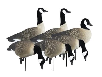 Higdon Outdoors APEX Full-Size Full-Body Canada Goose Decoy Variety Pack