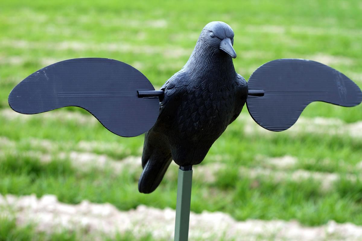 MOJO Motion Crow Decoy with Dual Shaft Direct Drive Motor