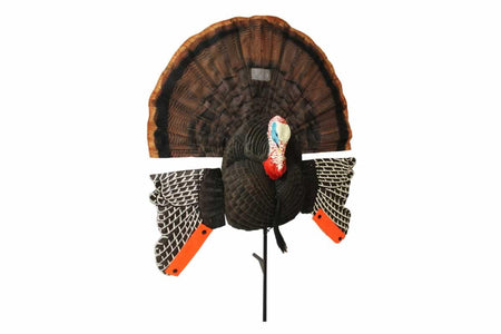 MOJO Scoot-N-Shoot MAX Turkey Hunting Decoy