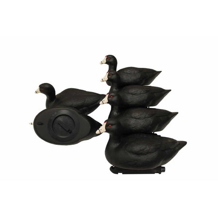 MOJO Coot Confidence Decoy Pack 6 Count with Rippler Decoys
