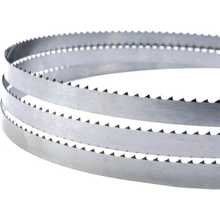 LEM Products Replacement Blade for Electric Tabletop Meat Saw LS1561