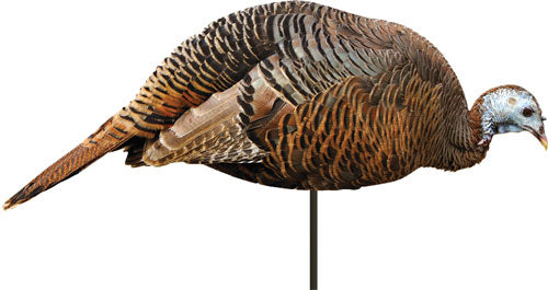 Montana Decoy Turkey Hen Dinner Belle Feeding Pose Decoy
