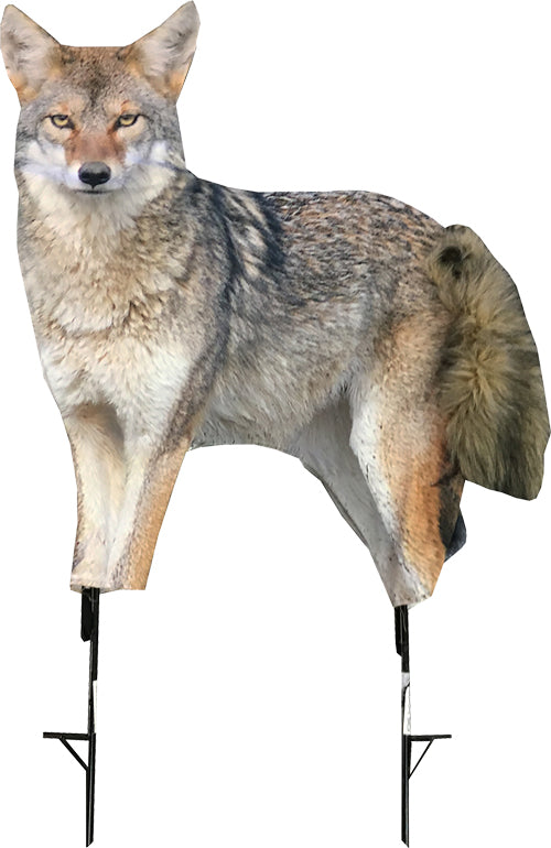 Montana Decoy Coyote Song Dog Predator Decoy