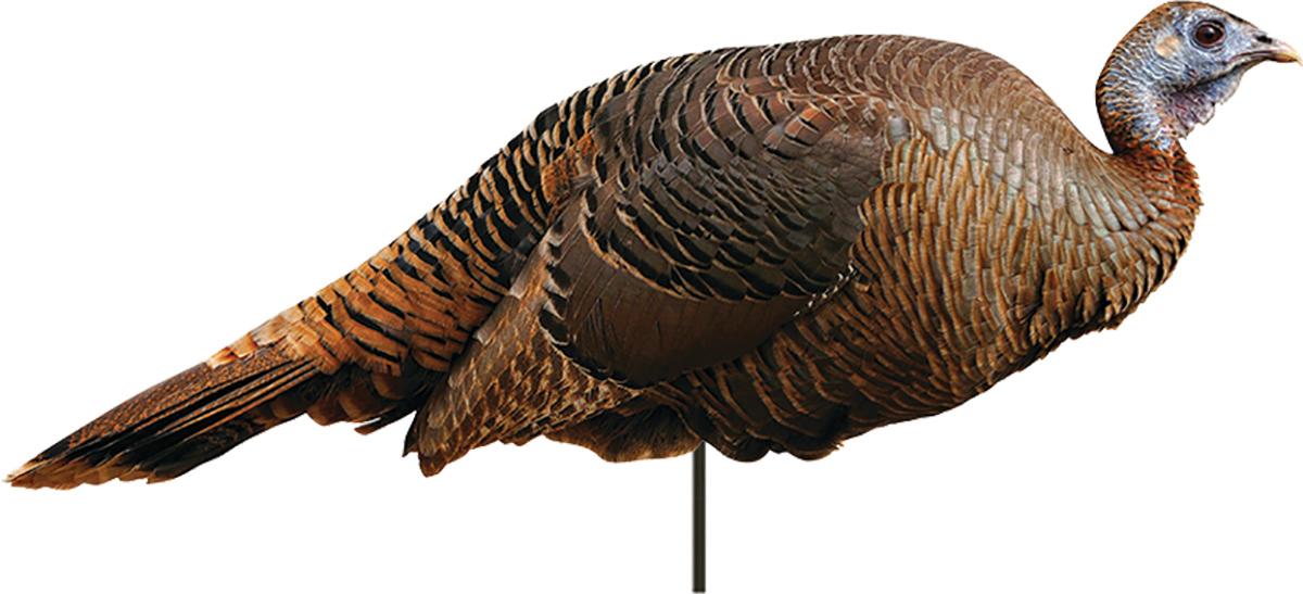 Montana Decoy Co Spring Fling Hen Turkey Decoy