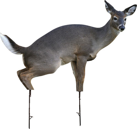 Montana Decoy Co. Estrus Betty Full-Body Elk Decoy