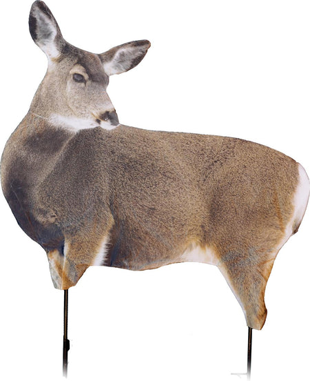 Montana Decoy Miss Muley Mule Deer Decoy