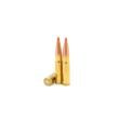 Atlanta Arms Elite .300 AAC Blackout 208 Gr PolyTip