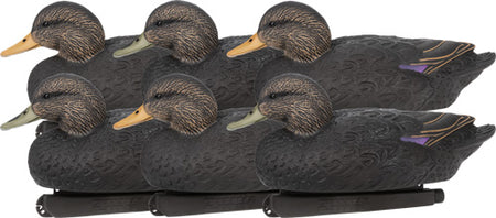 Zink Floater Decoys Black Duck 6-Pack