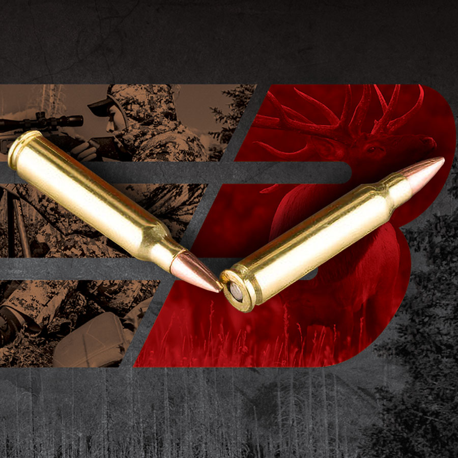 Barnes Centerfire .223 Remington 55 gr BTHP ammo